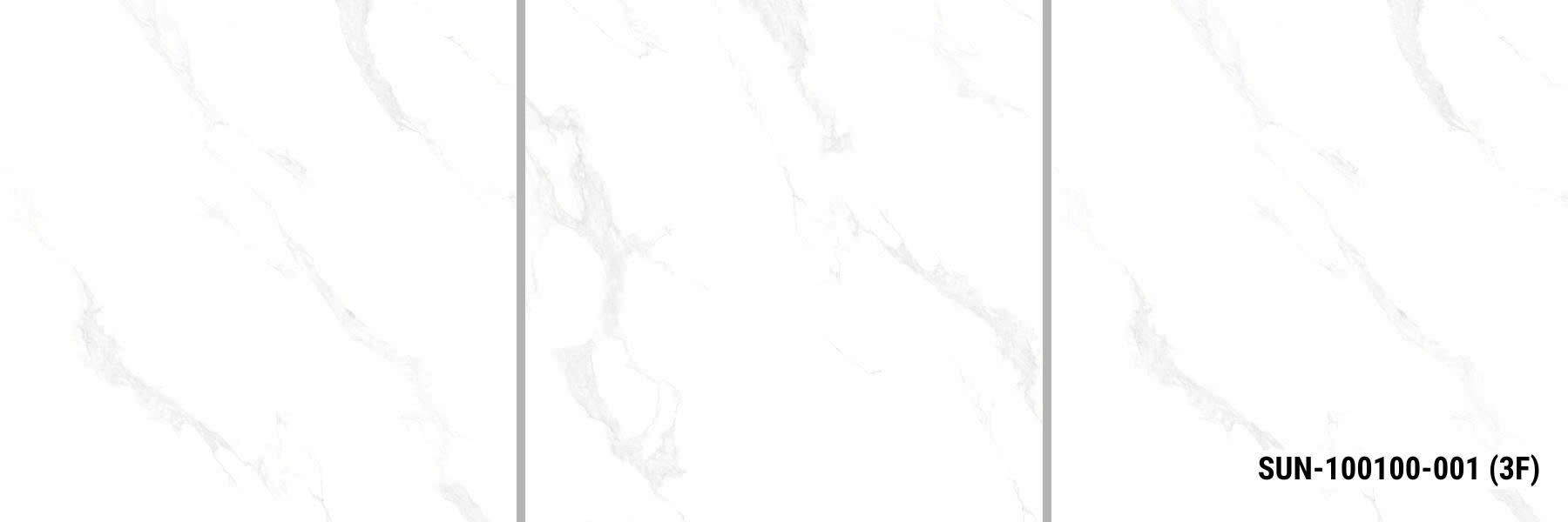 SUN-100100-001